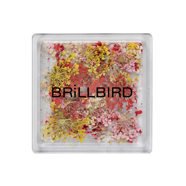 Brillbird Dried Flowers - Sunrise - Kentro Beauty Supplies Ireland