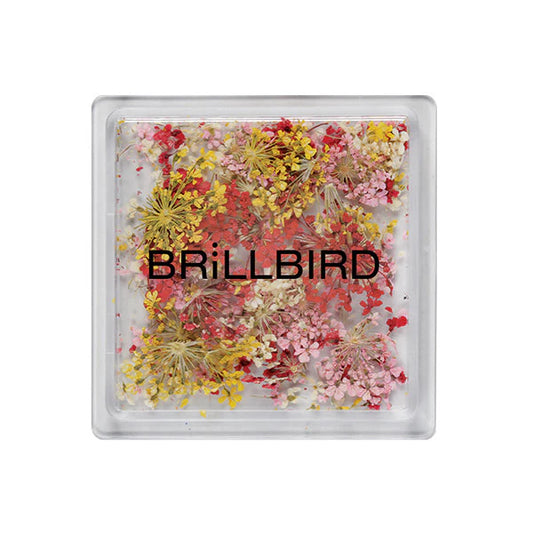 Brillbird Dried Flowers - Sunrise - Kentro Beauty Supplies Ireland