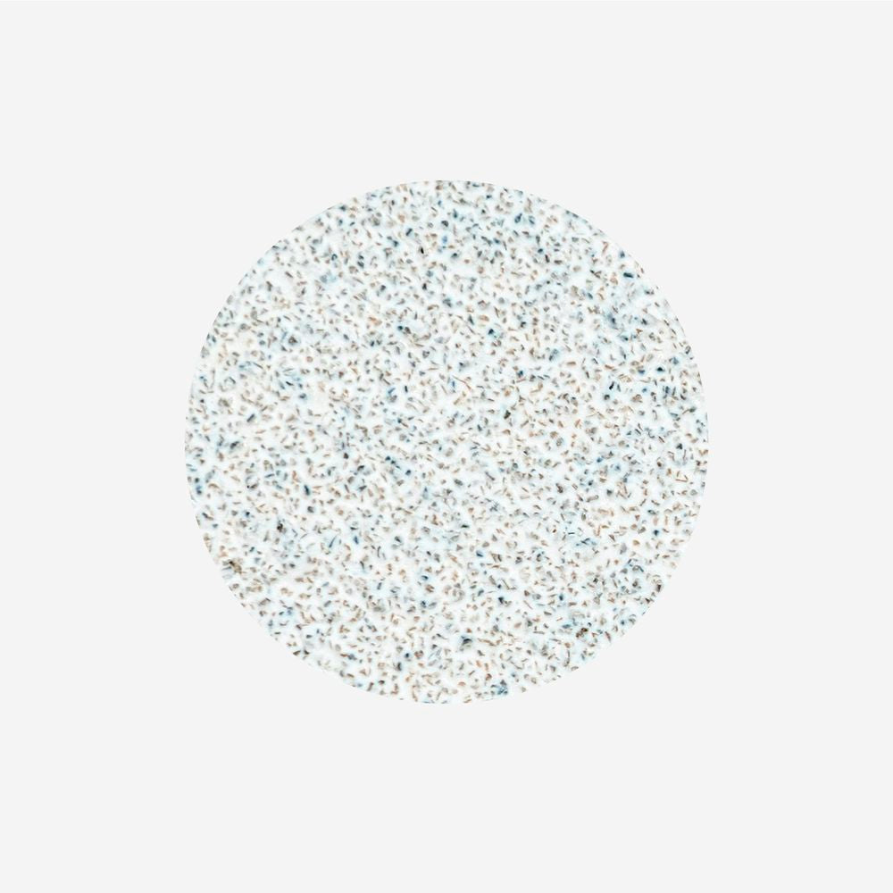 Staleks Disposable white files on soft foam layer for pedicure disc PODODISC L EXPERT (50 pcs) - Kentro Beauty Supplies Ireland