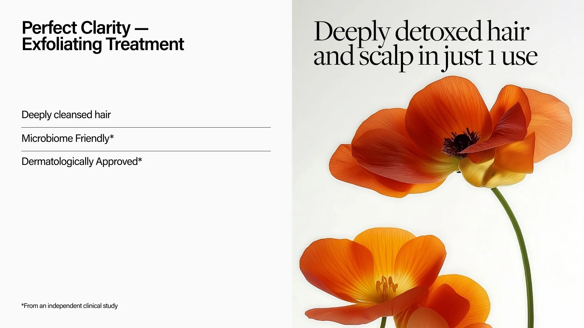 Keune Perfect Clarity Treatment 4x35ml - Kentro Beauty Supplies Ireland