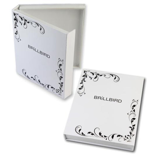 BrillBird Art Display Book - Kentro Beauty Supplies Ireland