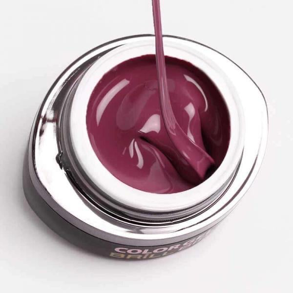 BrillBird Brush & go colour gel - GO97 - Kentro Beauty Supplies Ireland