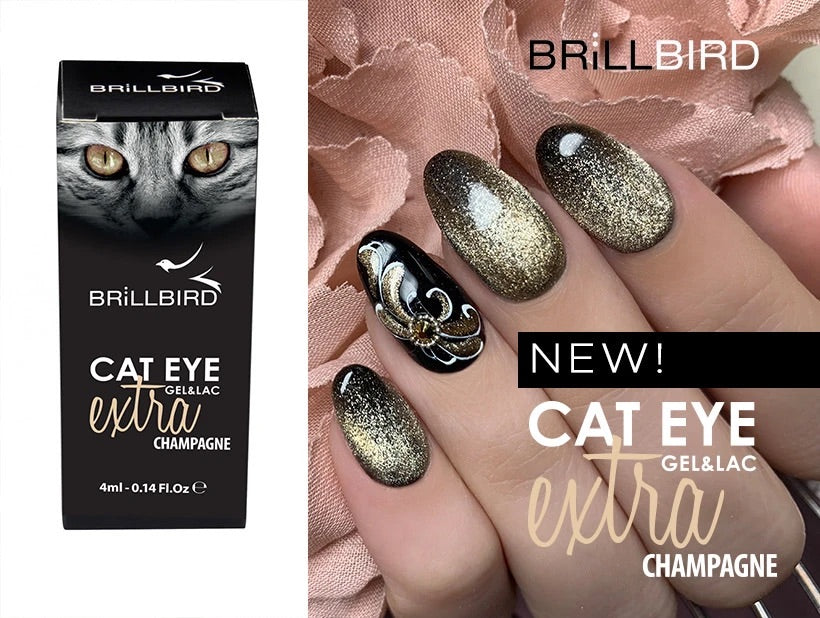 Brillbird Cat Eye Extra - Champagne - Kentro Beauty Supplies Ireland