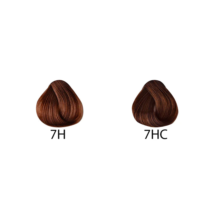 HAZELNUT - Kentro Beauty Supplies Ireland