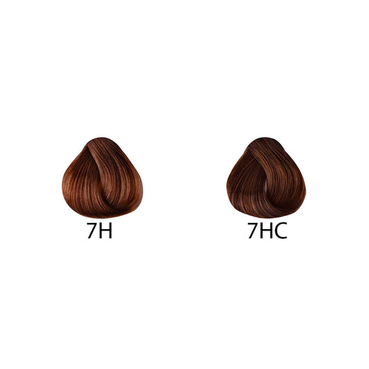 HAZELNUT - Kentro Beauty Supplies Ireland