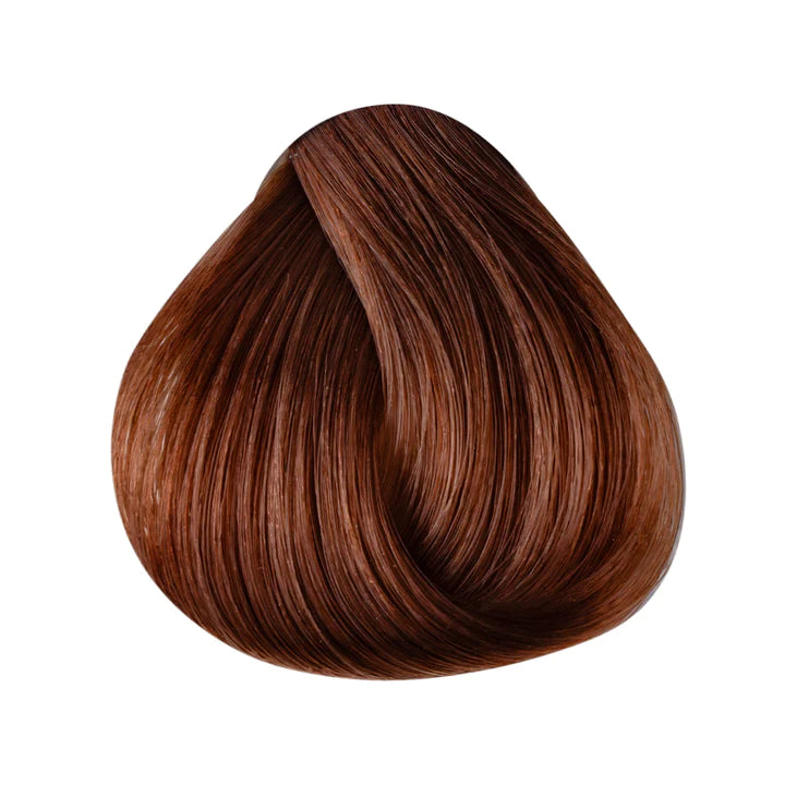 HAZELNUT - Kentro Beauty Supplies Ireland