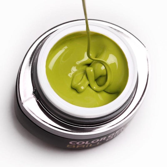 BrillBird Brush & go colour gel - GO22 - Kentro Beauty Supplies Ireland