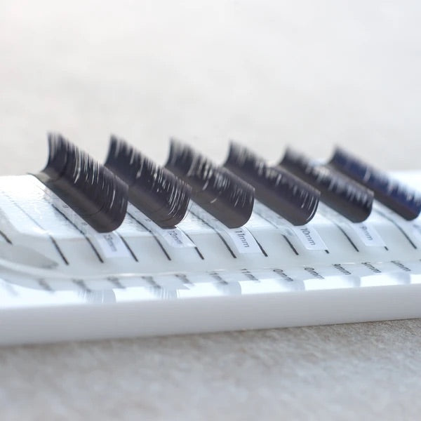 M LASHES SINGLE LENGTH (FULL SIZE TRAY) - Kentro Beauty Supplies Ireland