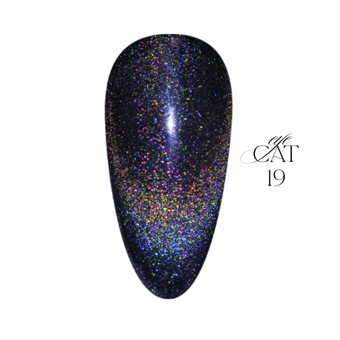 Ritzy SPIRIT cat eye gel polish NORTH 19