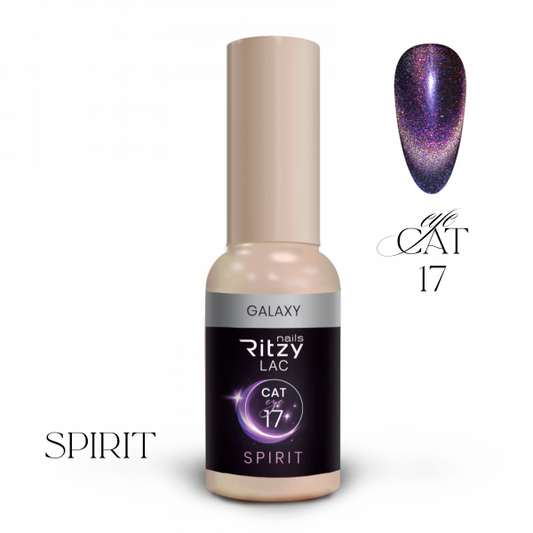Ritzy SPIRIT cat eye gel polish GALAXY 17