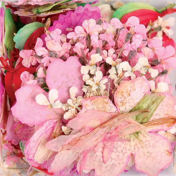 MarilyNails Dried Flowers - Kentro Beauty Supplies Ireland