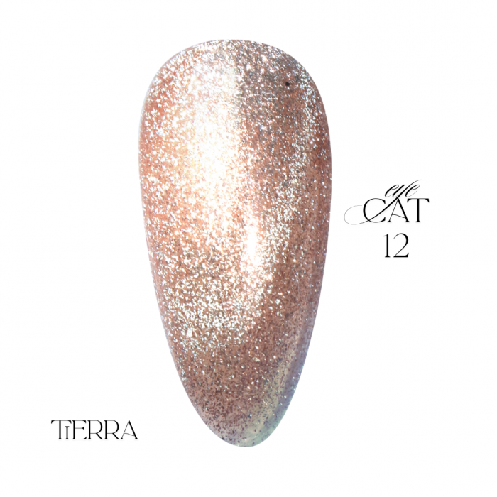 Ritzy LUXURY cat eye gel polish TIERRA 12