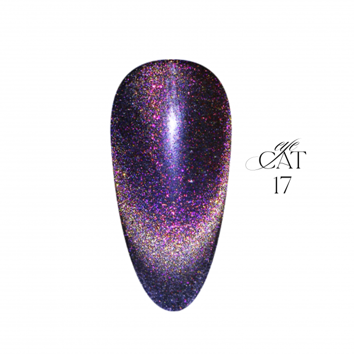 Ritzy SPIRIT cat eye gel polish GALAXY 17