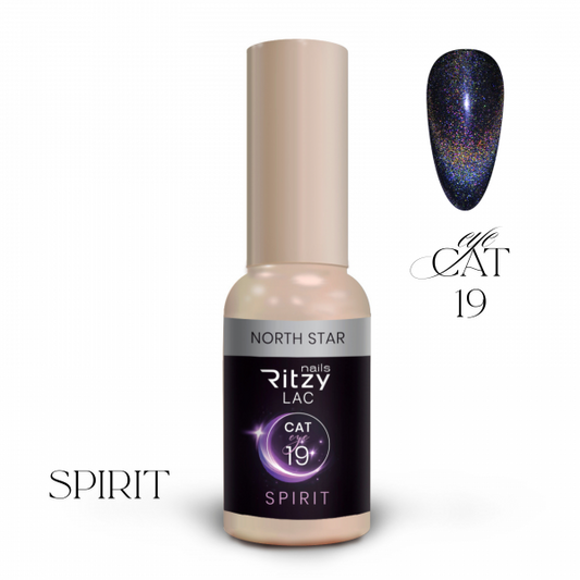 Ritzy SPIRIT cat eye gel polish NORTH 19