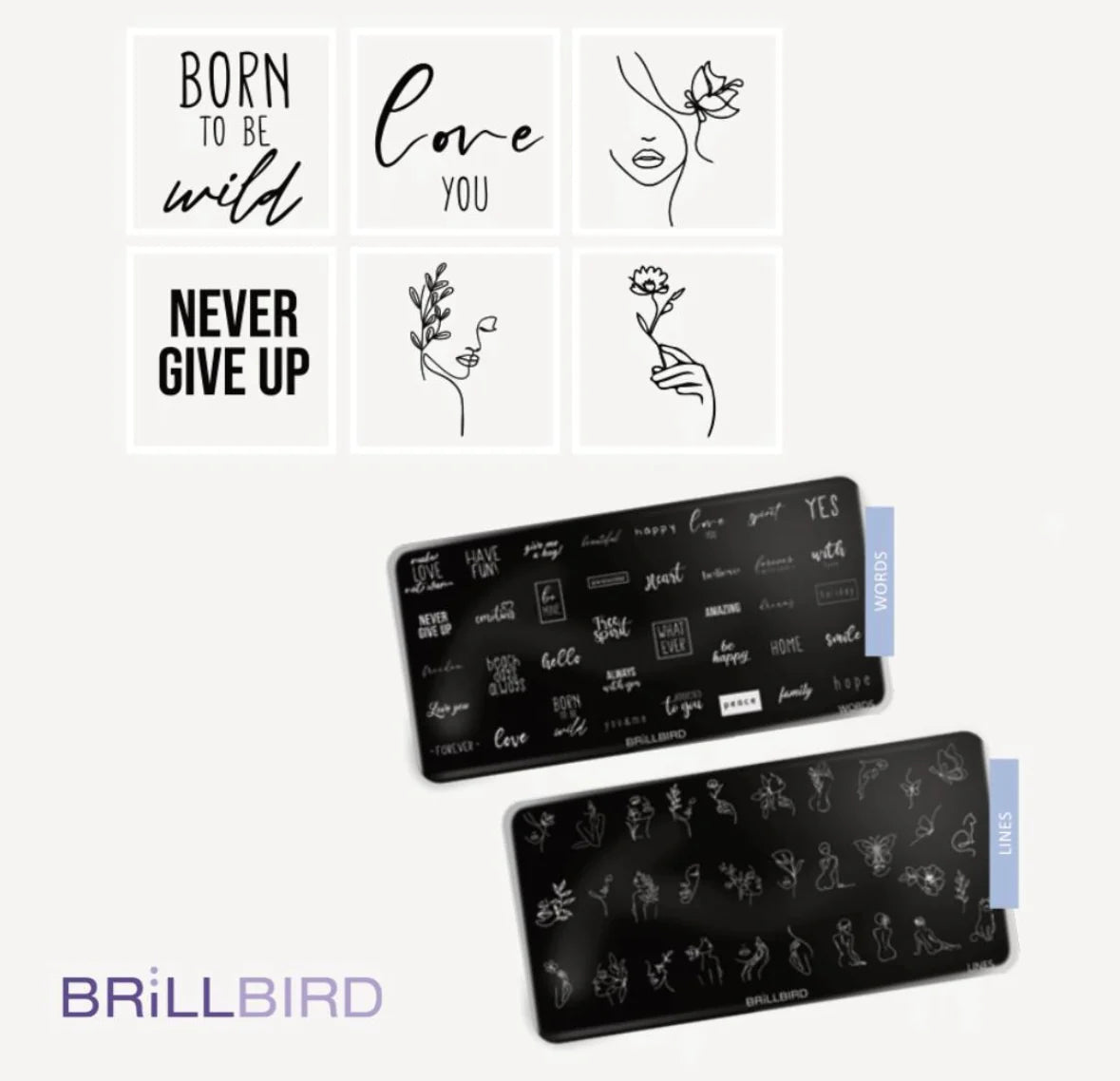 Brillbird Nail Stamp Plate - Lines