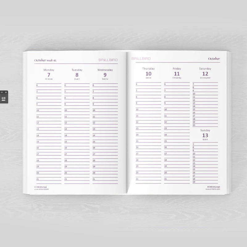 Brillbird Diary 2024 - Kentro Beauty Supplies Ireland